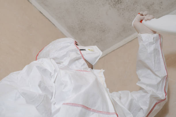 Best Crawl Space Mold Removal  in Lakeside, VA