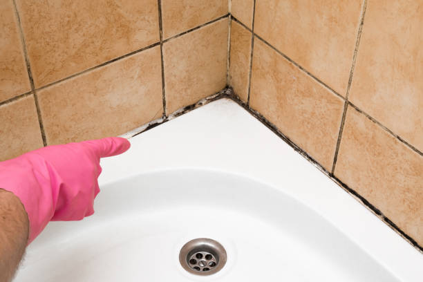 Best Emergency Mold Removal  in Lakeside, VA